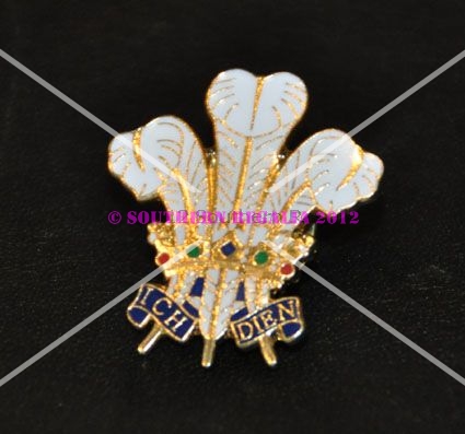Welsh Feathers Enamel Lapel Pin - Click Image to Close